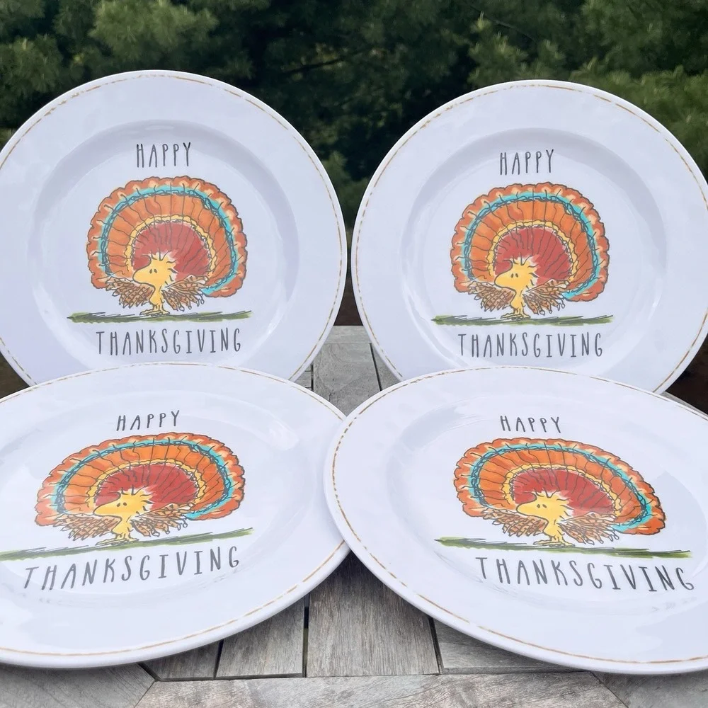 Pottery Barn Kid Set of 4 Thanksgiving 11